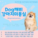 DOG깨비 강아지 미용실 이미지