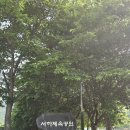 서하체육공원 이미지