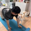 (주)산강아지 이미지