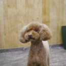 앤디살롱 이미지