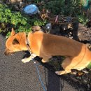 레몬숲어린이집 이미지