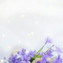 행복한하루 이미지