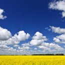 금수강산환경 이미지