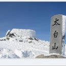 모두건강 이미지