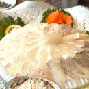 아람민박 | 강릉 남항진 맛집 아라담횟집 애견동반 후기