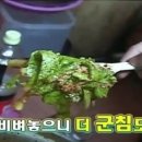 에스엔에스식품 한겨레