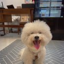 어나더 스위티 이미지