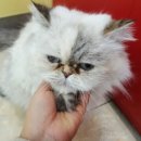 행담 동물병원 이미지