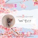 네츄럴시가