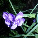 직지민박 이미지