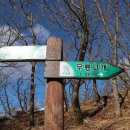 덕산계곡진입로 이미지