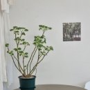 공방스테이 티스토리