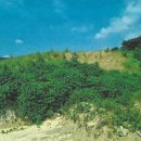 백2리 마을회관 이미지