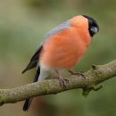 건강을주는약국 이미지