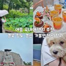 경산의 삽살개육종연구소 | 여행지 추천, 경북 청도 경산 가볼만한곳 정리(청도...코미디타운, 갓바위, 하늘호수, 삽살개육종연구소)