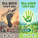탄소발자국과 지구의 미래 | 탄소손자국 뜻 탄소 발자국과 비교 친환경 기후위기 해결