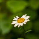 건인약품(주) 이미지