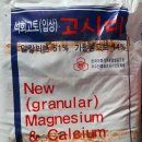 동해종묘사 이미지