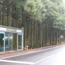 버스정류소_남원읍사무소 이미지