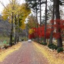 임고초등학교 이미지