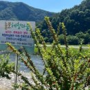 늘보마을 이미지