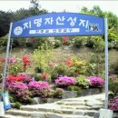 중철요한