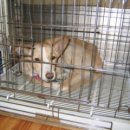 가좌지구대 이미지