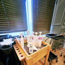 여옥 | [김포 미용실 추천] 김포미용실은 여옥시 엘바이블룸헤어 김포장기점
