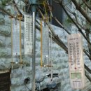 배나무농장 이미지