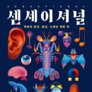메리워드 | 센세이셔널 애슐리 워드 과학서적 추천도서 독서후기 감상문