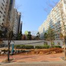 길주로573번길 이미지