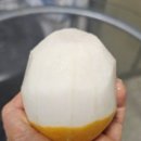 춘아농장 이미지