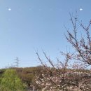 장수천농장 이미지