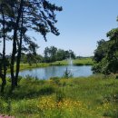 해운대비치 골프앤리조트 이미지