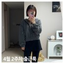 2&4룩