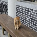 경주앤드찰보리빵