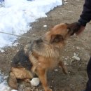 상갈경로당 이미지