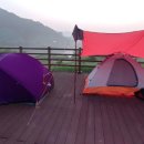 목계숲 2 이미지