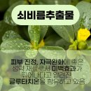 이안약국 이미지