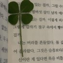녹색미학 네이버블로그