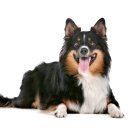 은계동물병원 이미지