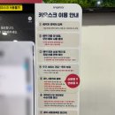 성산렌트카 | 짧지만 꽉 찬 제주🗿1박2일｜ 엔젤 렌트카 EV6(내돈내산, 솔직후기)