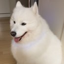 산책 이미지