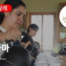 비더그린