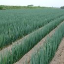 명지모텔 이미지