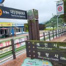 해인사 소리길 이미지