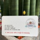 몽글몽글 펫 이미지