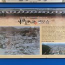봉화순대