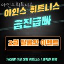 아인스 휘트니스 이미지