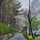 [서울/청담] 서울 속 감성 책공간, 문학도서관 소전서림
